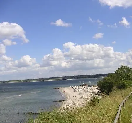 Witt-hues * הוווכט