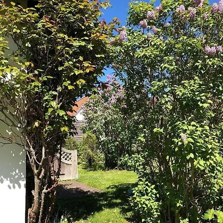 Witt-hues בית נופש הוווכט