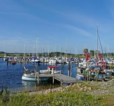 Witt-hues * הוווכט